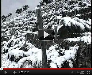 Soldano - Nevicata del 6 e 7 febbraio 1991