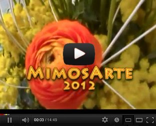 2012 - Soldano - Premiazione di MimosArte