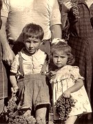 Foto vendemmia 1952