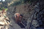 Lavoro in campagna