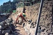 Lavoro in campagna
