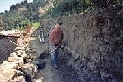 Lavoro in campagna