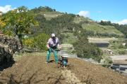 Lavoro nell'orto