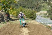 Lavoro nell'orto