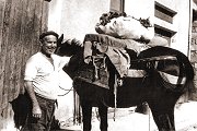 Giulietta Maccario sul mulo