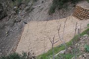 Risanamento della frana in località Pinella