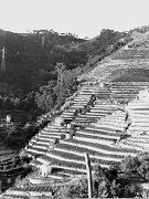 Lavori strada Fulavin