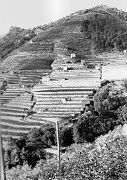 Lavori strada Fulavin